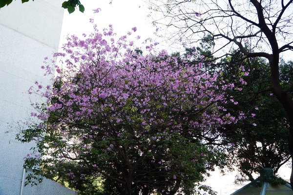 DSC04908