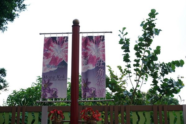 DSC04959