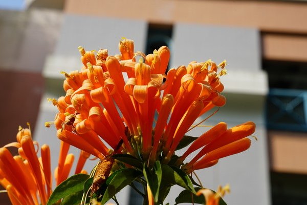 DSC00948