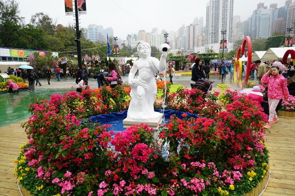 DSC01135