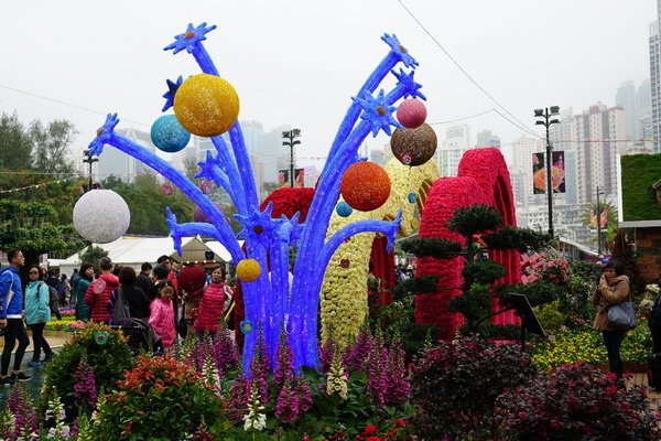 DSC01142