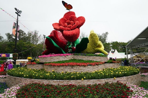 DSC01171