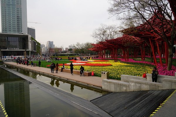DSC02354