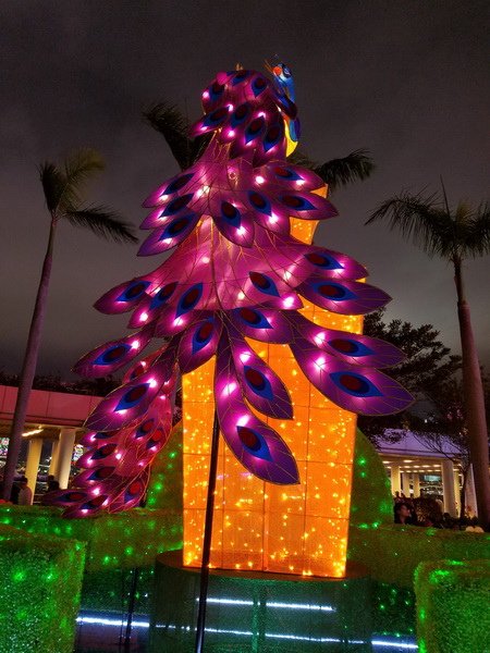 20190217_193623