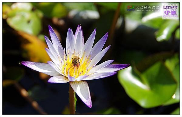 KIN_5888_nEO_IMG