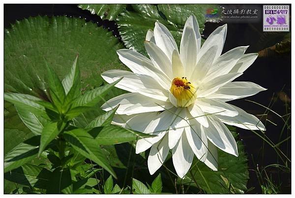KIN_5856_nEO_IMG