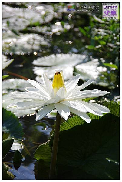 KIN_5843_nEO_IMG