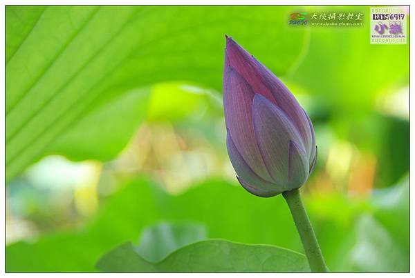 KIN_5805_nEO_IMG