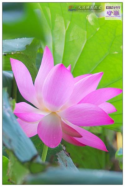 KIN_5798_nEO_IMG