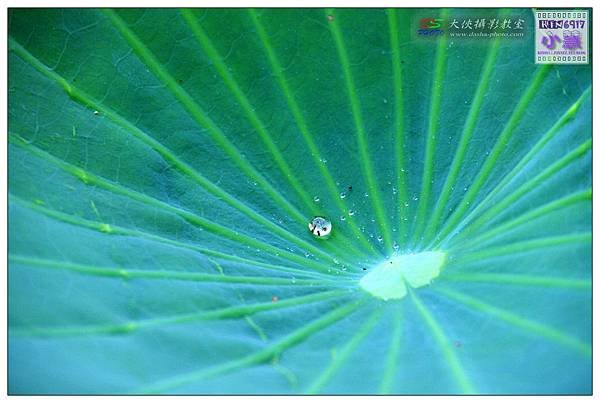 KIN_5771_nEO_IMG