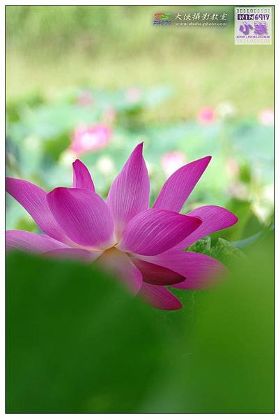 KIN_5724_nEO_IMG