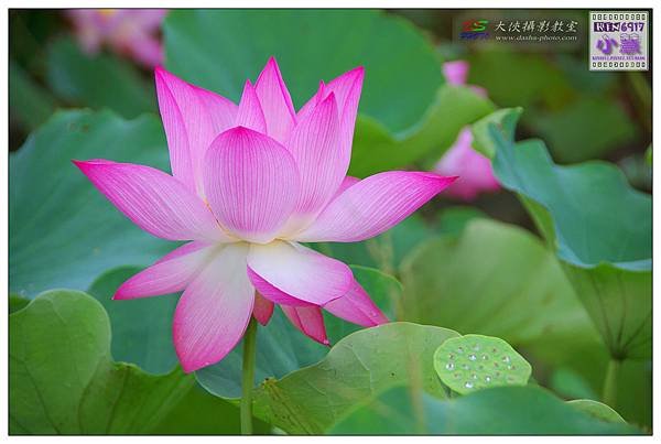 KIN_5681_nEO_IMG