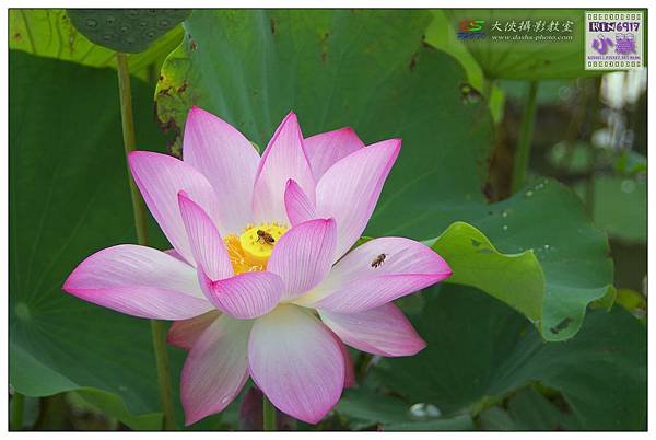 KIN_5639_nEO_IMG