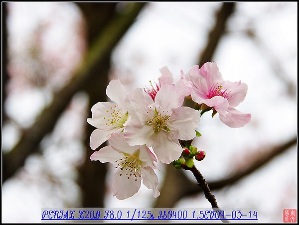 KIN_9675.jpg