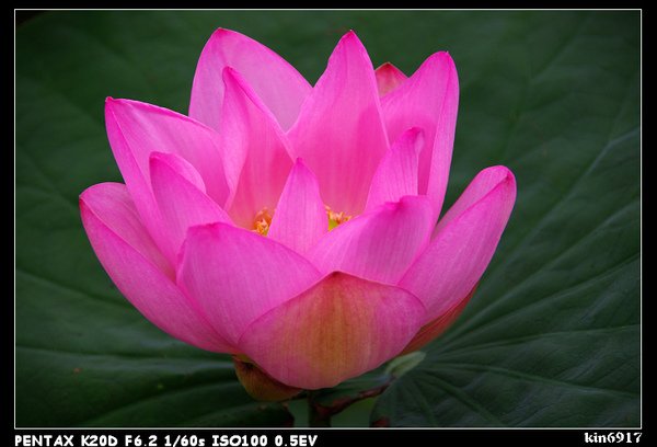 nEO_IMG_KIN_9579.jpg