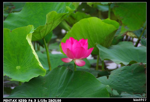 nEO_IMG_KIN_9293.jpg