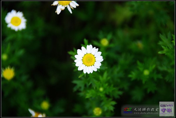 nEO_IMG_20100224-KIN_7448.jpg