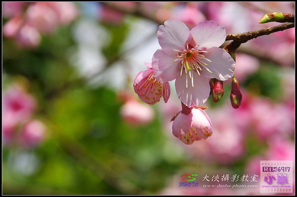 nEO_IMG_KIN_8095.jpg