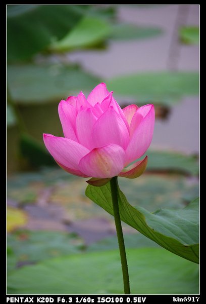 nEO_IMG_KIN_9628.jpg