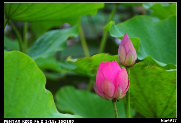 nEO_IMG_KIN_9311.jpg