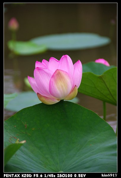 nEO_IMG_KIN_9624.jpg