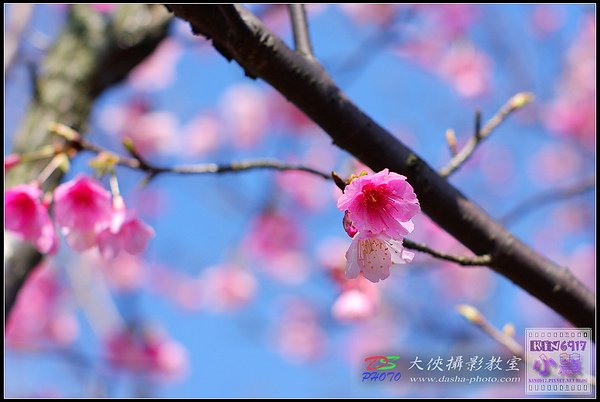 nEO_IMG_KIN_7944.jpg