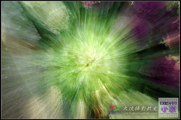 nEO_IMG_KIN_8230.jpg