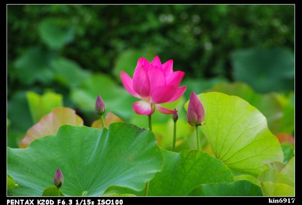 nEO_IMG_KIN_9423.jpg