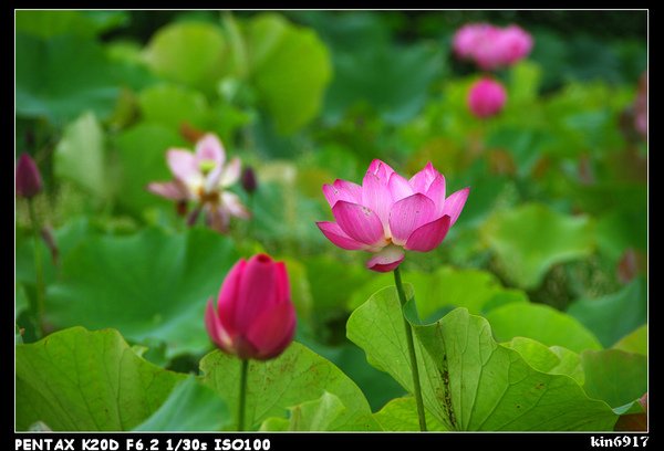 nEO_IMG_KIN_9442.jpg