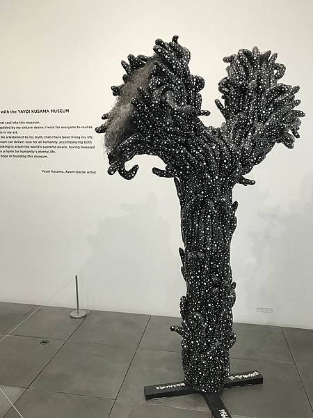 f011.jpg