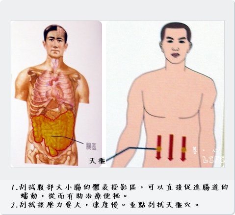 腸區_1