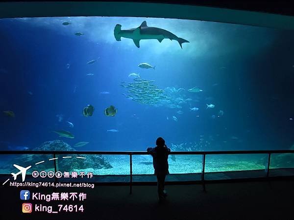 ［屏東 親子景點］國立海洋生物博物館 | 墾丁親子必玩推薦景