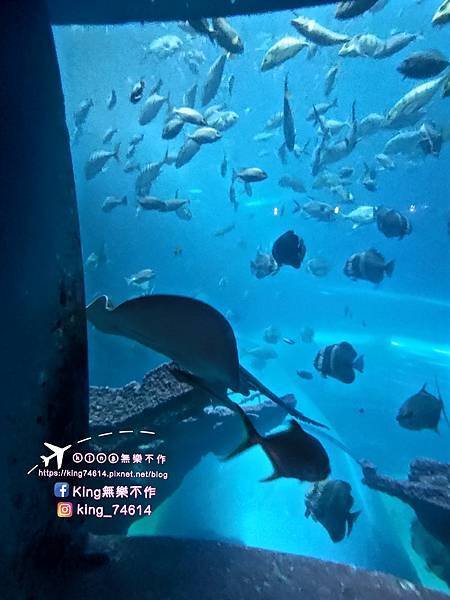 ［屏東 親子景點］國立海洋生物博物館 | 墾丁親子必玩推薦景