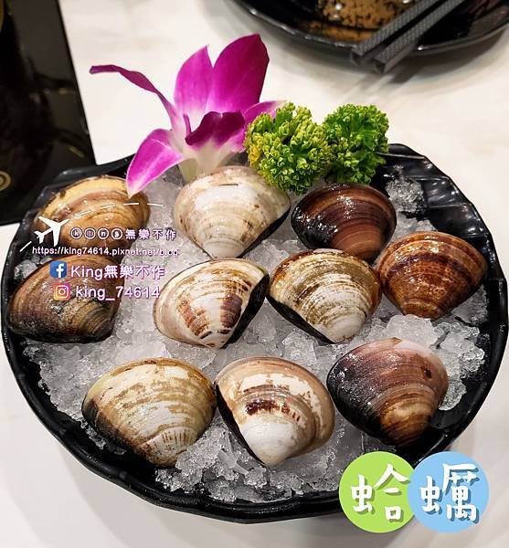 ［桃園 美食］涮金鍋 和風涮涮鍋 | 揚秦（麥味登）跨足火鍋