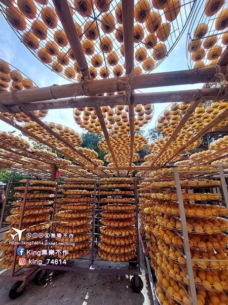 ［新竹 景點］味衛佳柿餅教育農園 | 傳承百餘年柿餅製作技藝