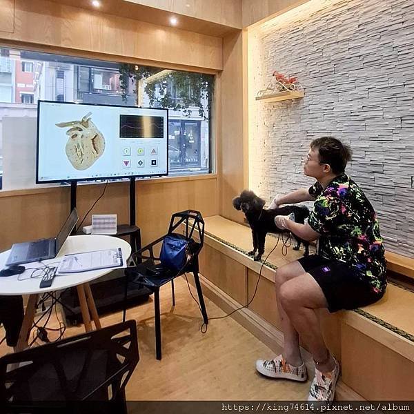 〔寵物生活〕Holypet台灣健康寵物｜毛寶貝全身亞健康分析