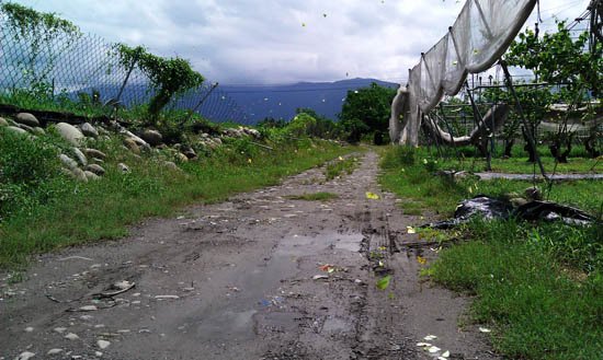 IMAG0536.jpg