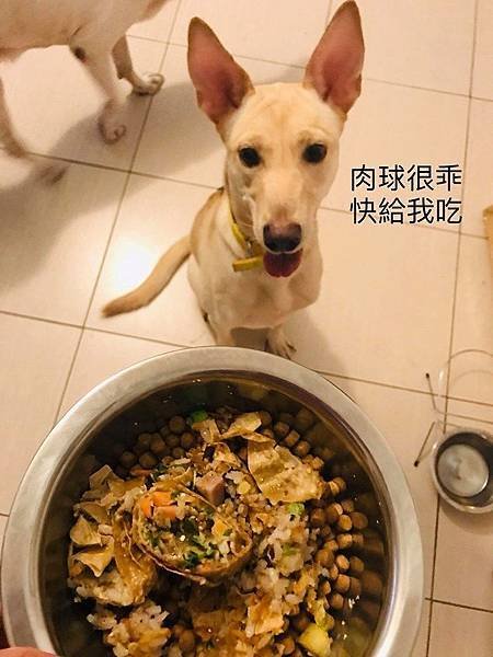 中式鮮食《腐皮牛肉捲》12.jpg