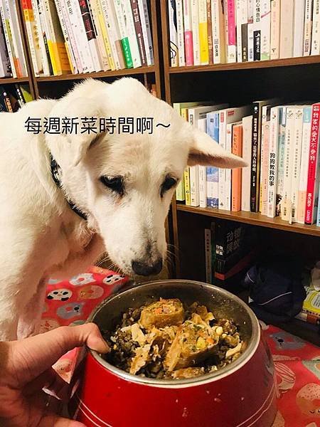 中式鮮食《腐皮牛肉捲》15.jpg