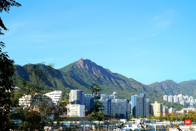 深水埗_玩1_嘉頓山2018_38.jpg