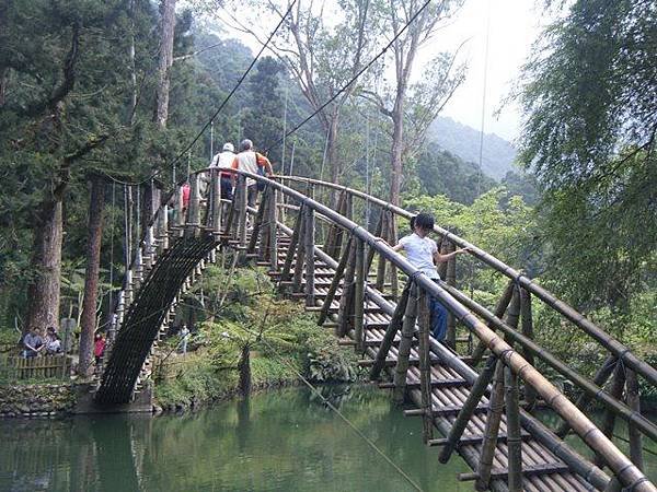 南投森林步道01