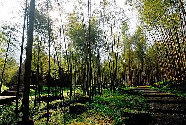 元旦連假旅遊好去處，中部元旦連假旅遊5大路線推薦！