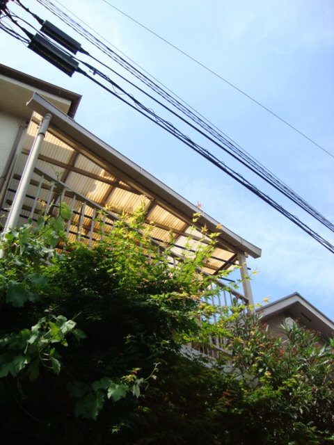 DSC01654.JPG