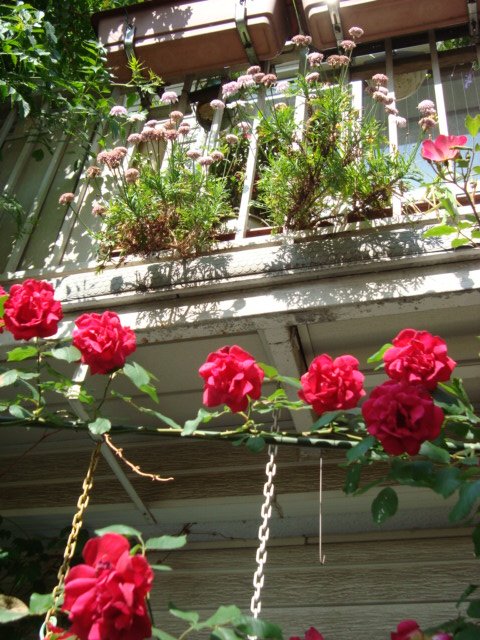 DSC01659.JPG