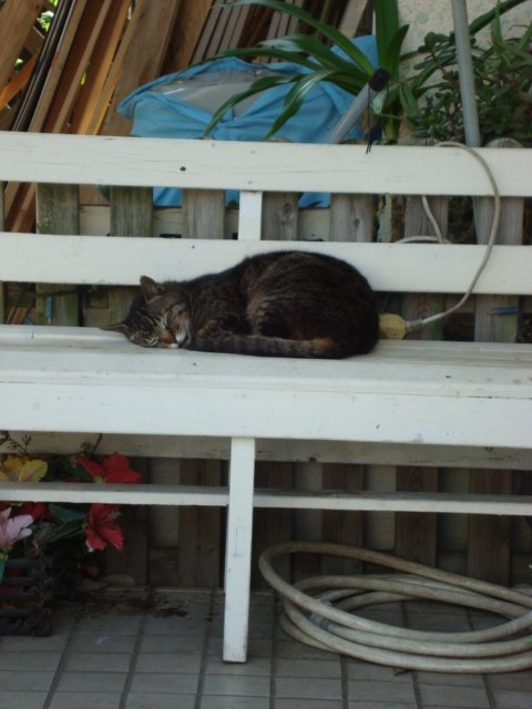 DSC01695.JPG