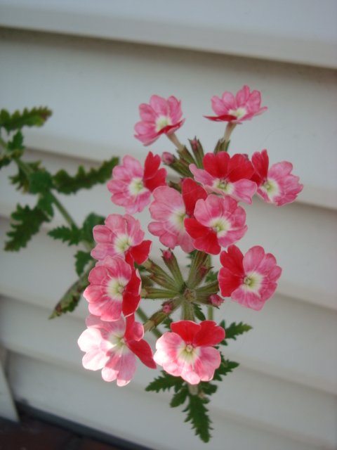 DSC01709.JPG