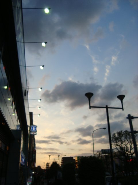 DSC01720.JPG