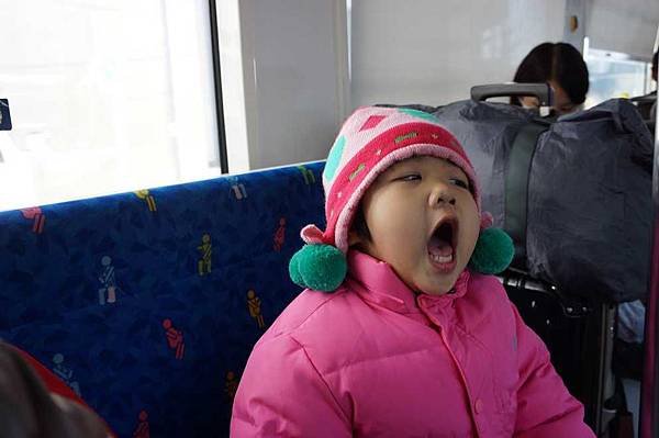 DSC04961(001).jpg