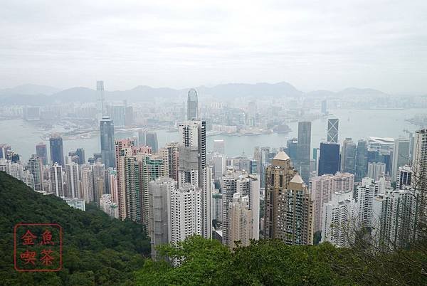 維多利亞港方向的景