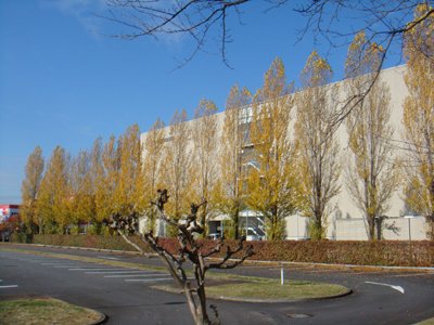 tsukuba05.jpg